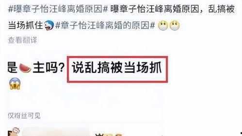 刘大锤最新爆料消息,揭秘娱乐圈最新惊天秘密！