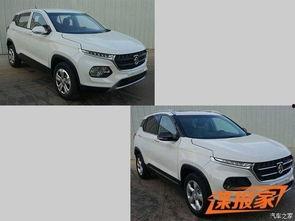 最新爆料车型大全图片,惊艳亮相，科技与时尚的完美融合”