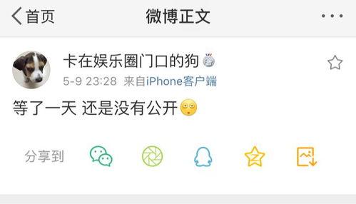 吃瓜爆料微信号大全最新,吃瓜爆料微信号大全，带你走进娱乐圈幕后风云